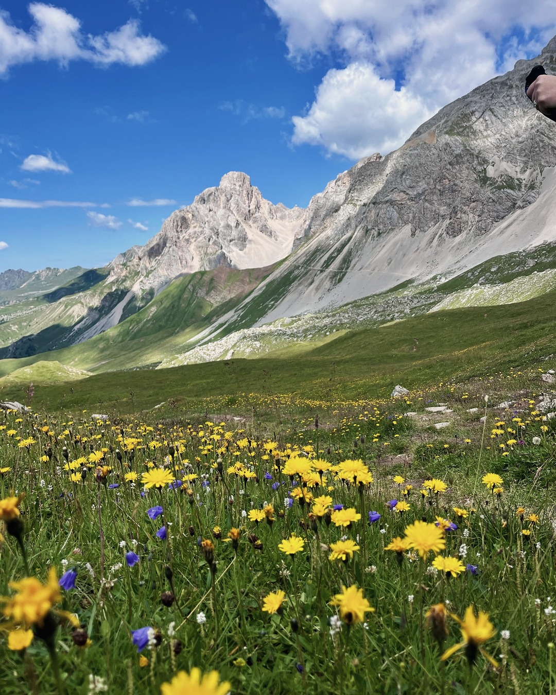 Castiglioni → Passo Valles. Forca Rossa, Thursday 16 July