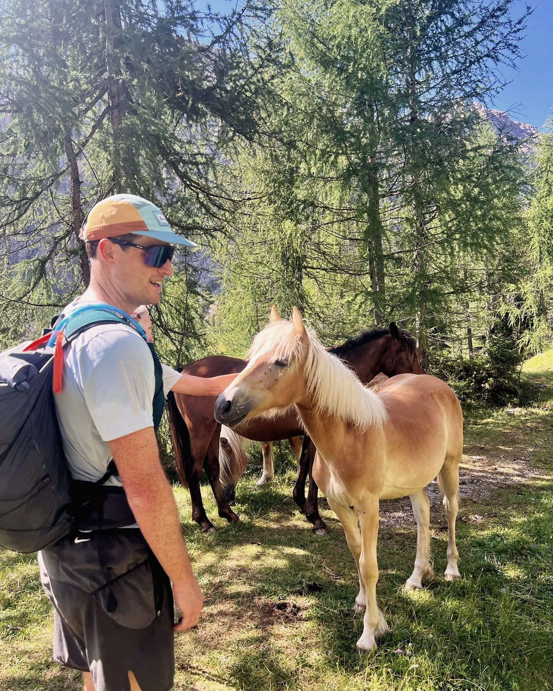 Castiglioni → Passo Valles. Forca Rossa, Thursday 16 July (4)