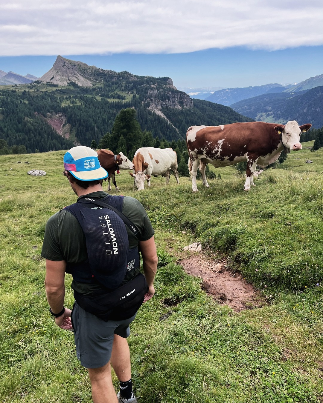 Passo Valles → San Martino. Pale di San Martino, Friday 17 July (3)